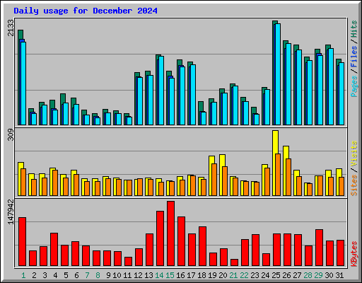 Daily usage for December 2024