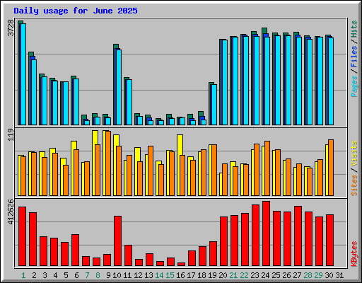 Daily usage for June 2025