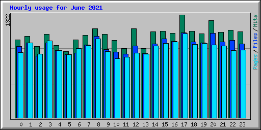 Hourly usage for June 2021