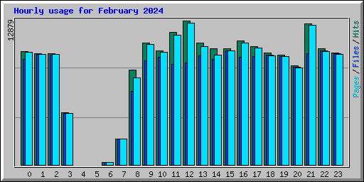Hourly usage for February 2024