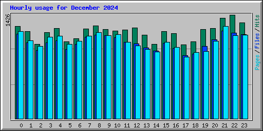 Hourly usage for December 2024