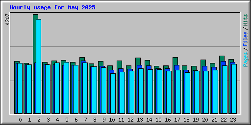 Hourly usage for May 2025