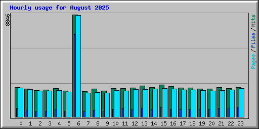Hourly usage for August 2025