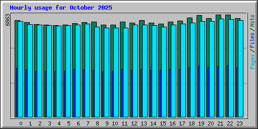 Hourly usage for October 2025