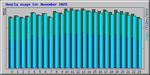 Hourly usage for November 2025