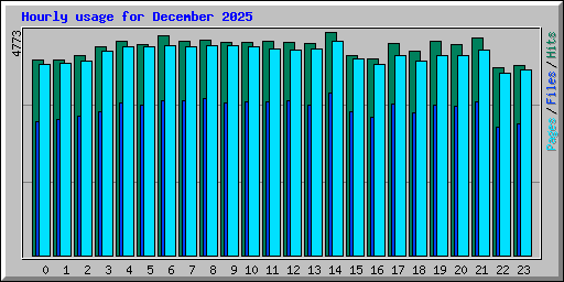 Hourly usage for December 2025