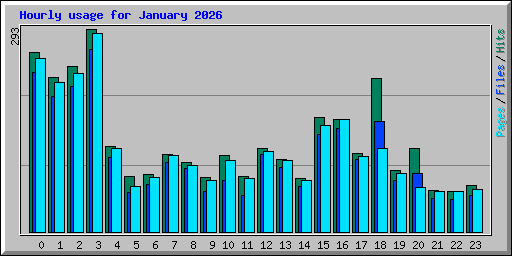 Hourly usage for January 2026