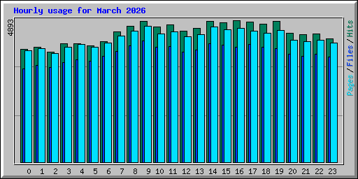 Hourly usage for March 2026